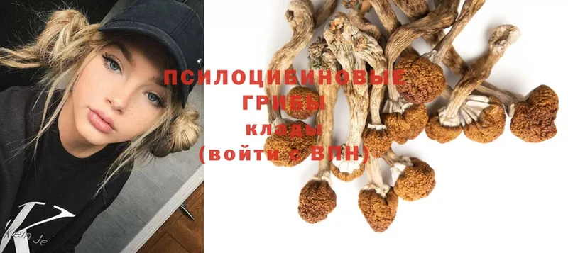 маркетплейс клад  Тотьма  Псилоцибиновые грибы MAGIC MUSHROOMS  купить наркотики цена 